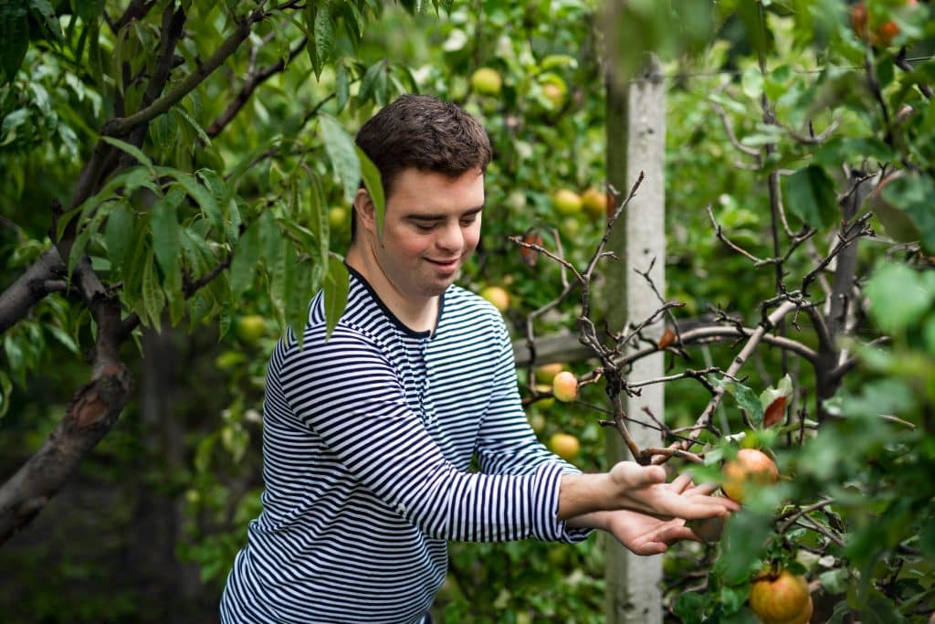 arbres fruitiers pour jardin conseils