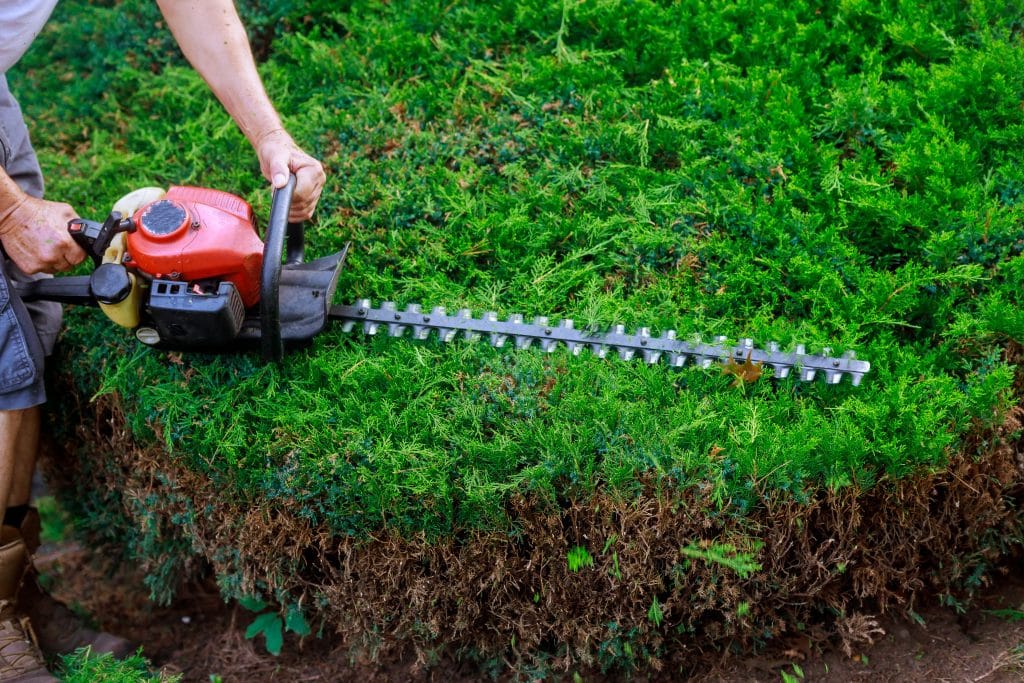 taille-haie électrique sans effet sur l'environnement