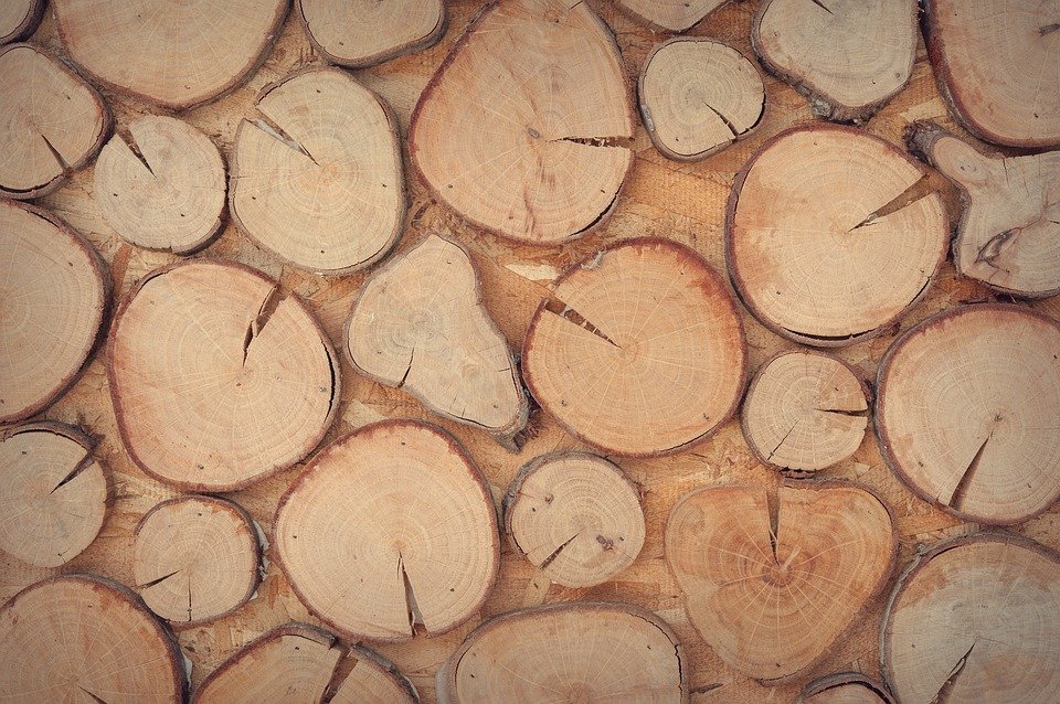 Bois, Des Troncs D'Arbres, Mur, Décoration, Design