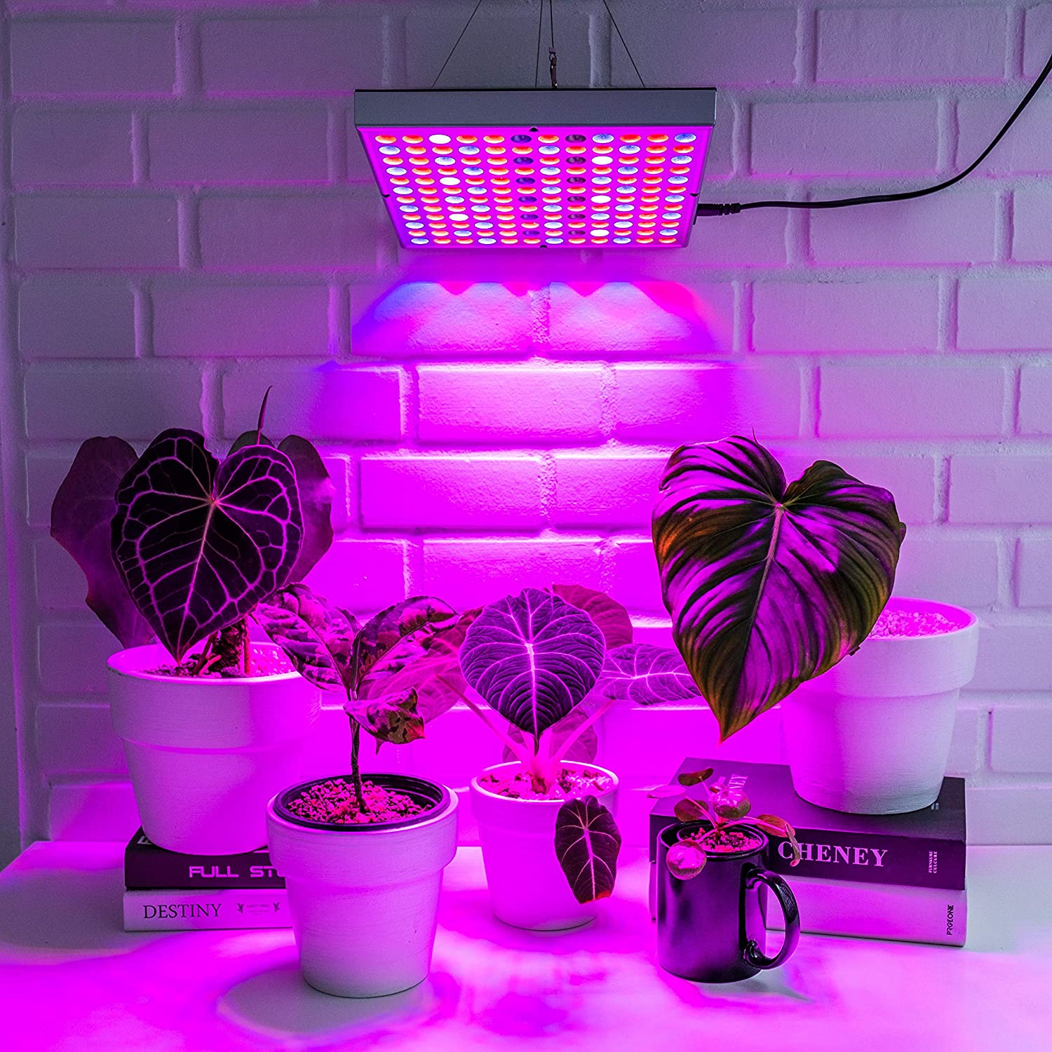 3 critères pour bien choisir votre lampe LED pour vos cultures indoor