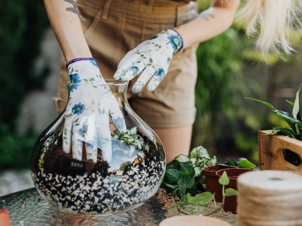 Comment fabriquer soi-même un terrarium