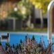 le skimmer de piscine