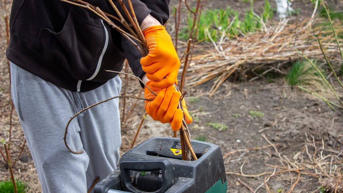 La robotique au service de votre jardin