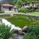 cascade de bassin fait maison
