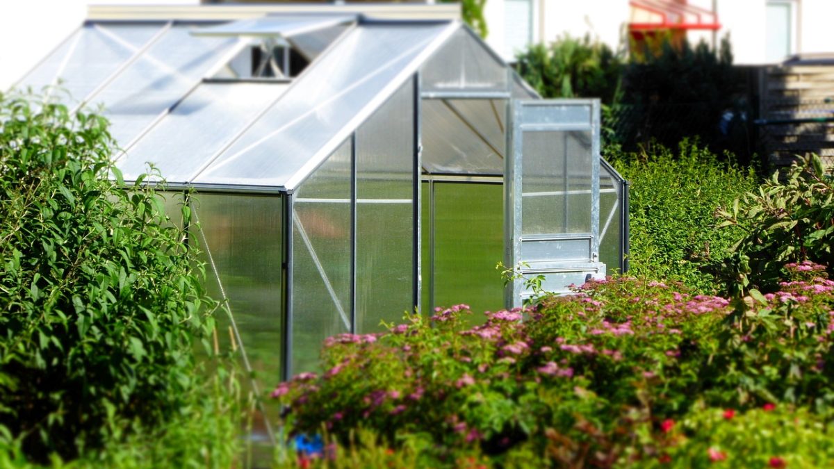 Optimisez votre jardin avec une serre de jardin