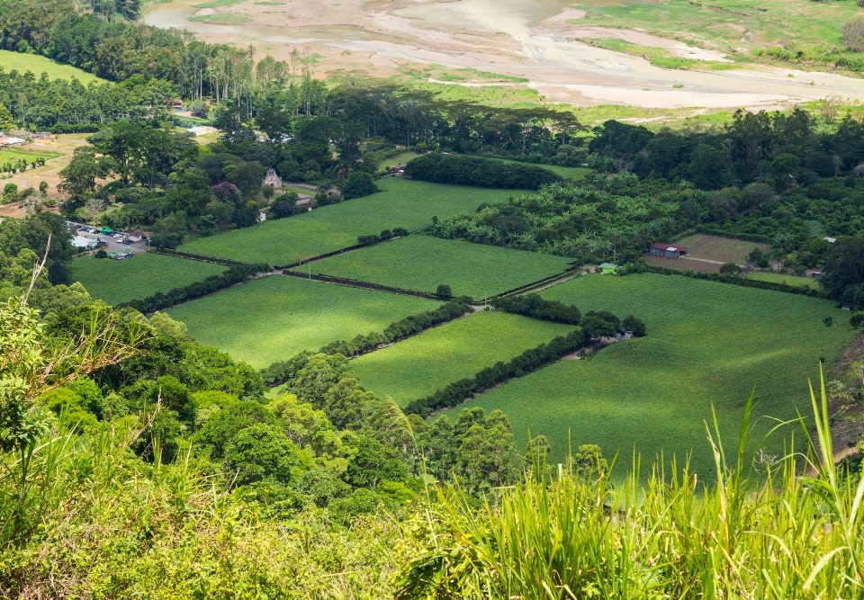 Acheter un terrain viabilisé