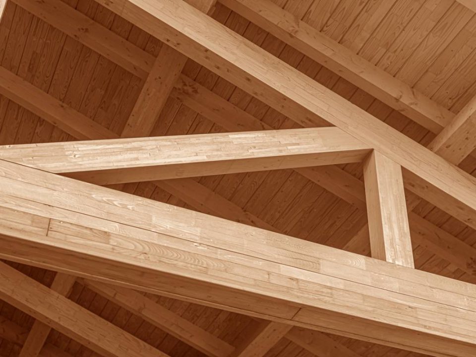 Charpente infestée de vers de bois