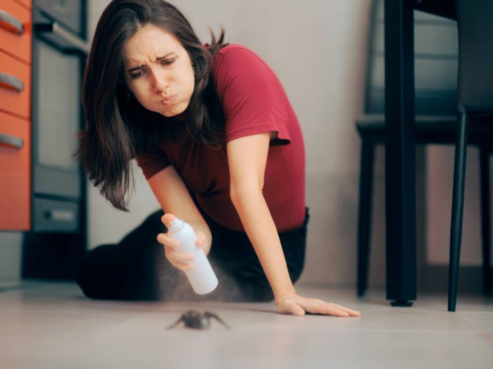 Stopper le cycle des insectes