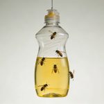 Bouteille plastique suspendue contenant liquide vaisselle jaune attirant des guepes