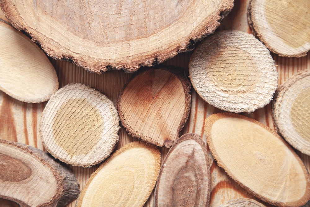 Un rendu esthétique haut de gamme et intemporel