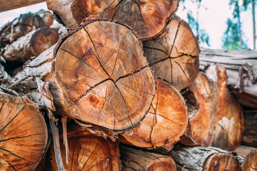 Une polyvalence rare dans les applications haut de gamme