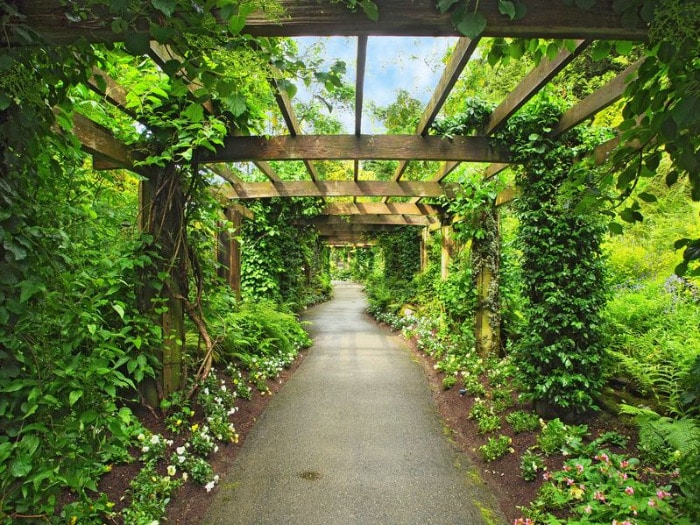 La pergola bioclimatique est une option moderne